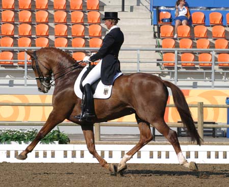 Hubertus Schmidt and his stunning mare Wansuela